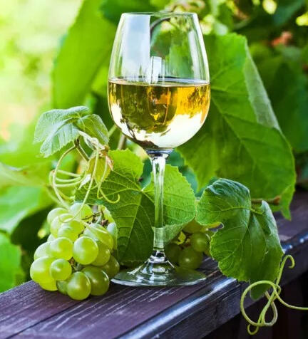 Oenological Vinho Verde – Region de Basto