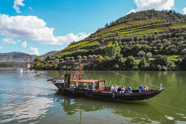 Oenological Douro